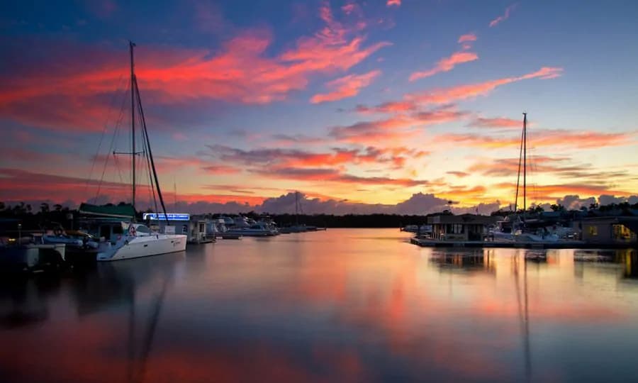 The Alesko.ai Story: Who We Are and Why We Do What We Do